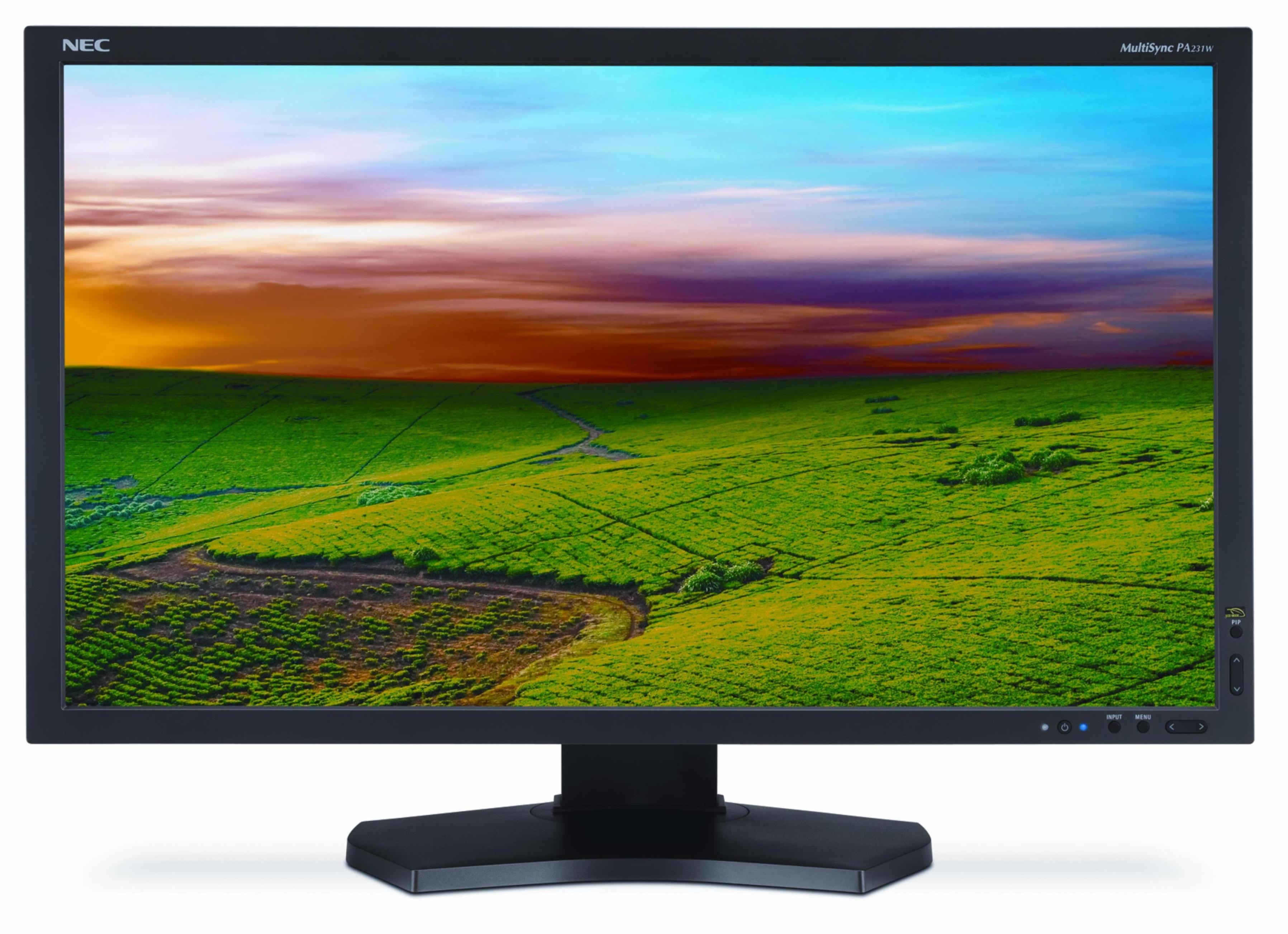 Professional IT Monitor - Wide Screen (22"-24"): Professional IT